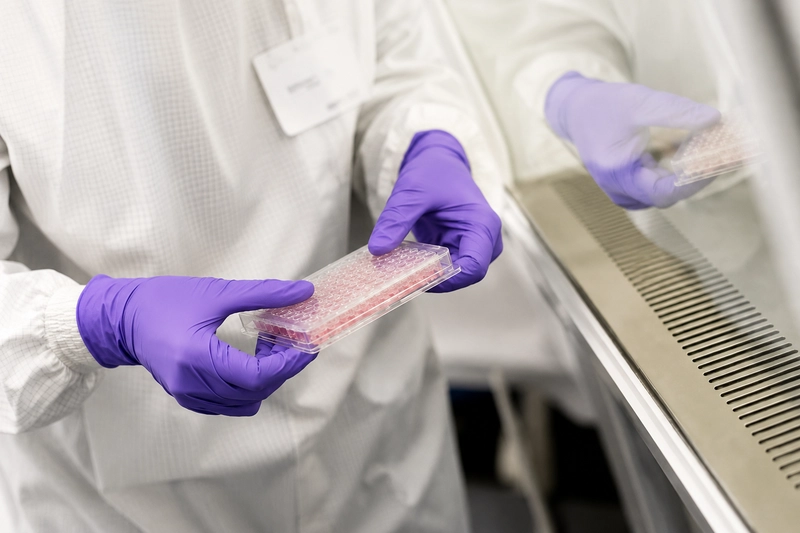 A research at the University of Dundee about the development of a novel compound aimed at identifying and tracking age-inducing zombie cells Zombie Cell Is the Walking Dead Under Your Skin 0
