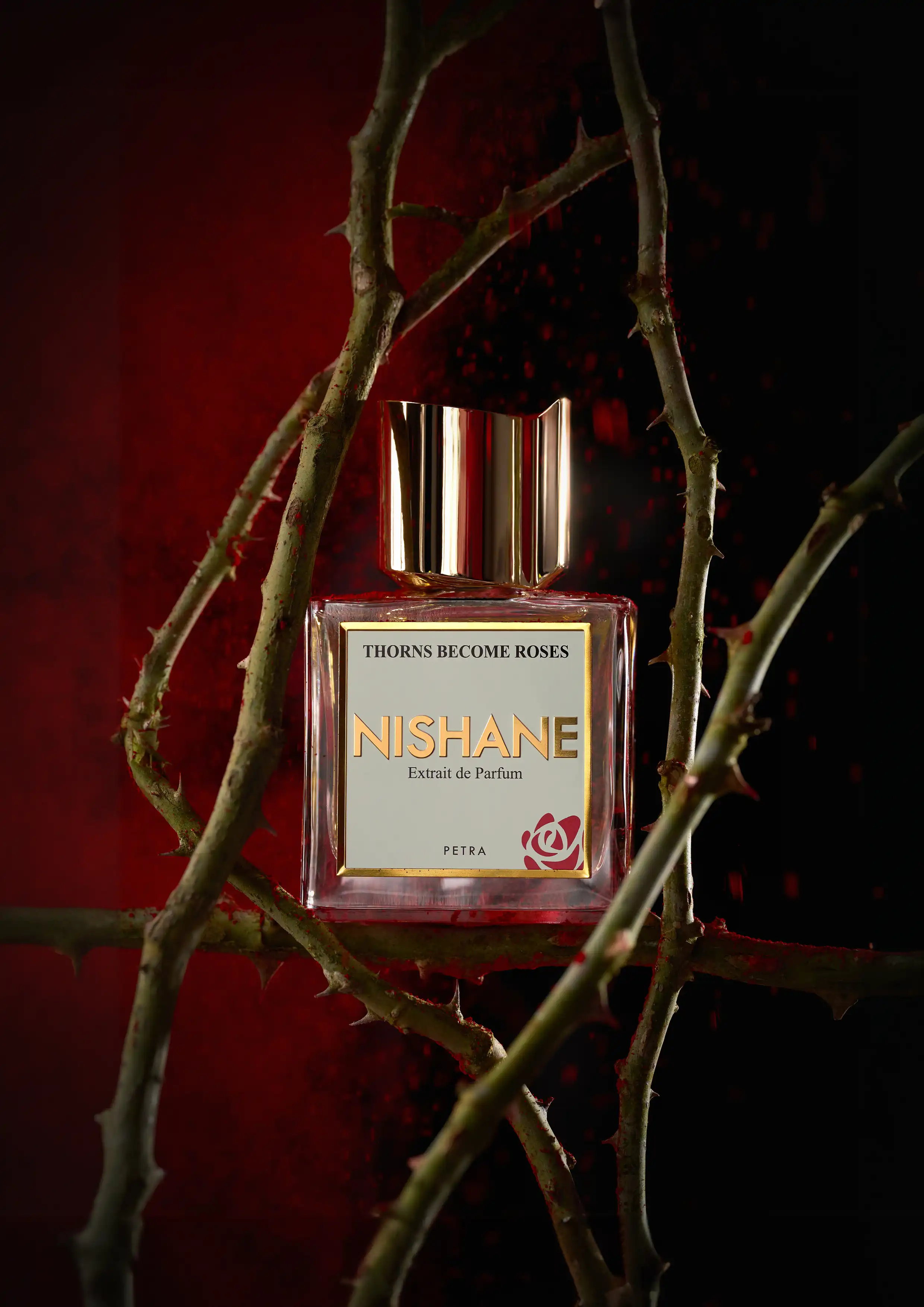 Modern Rose Perfume Is Blooming Somewhere Else