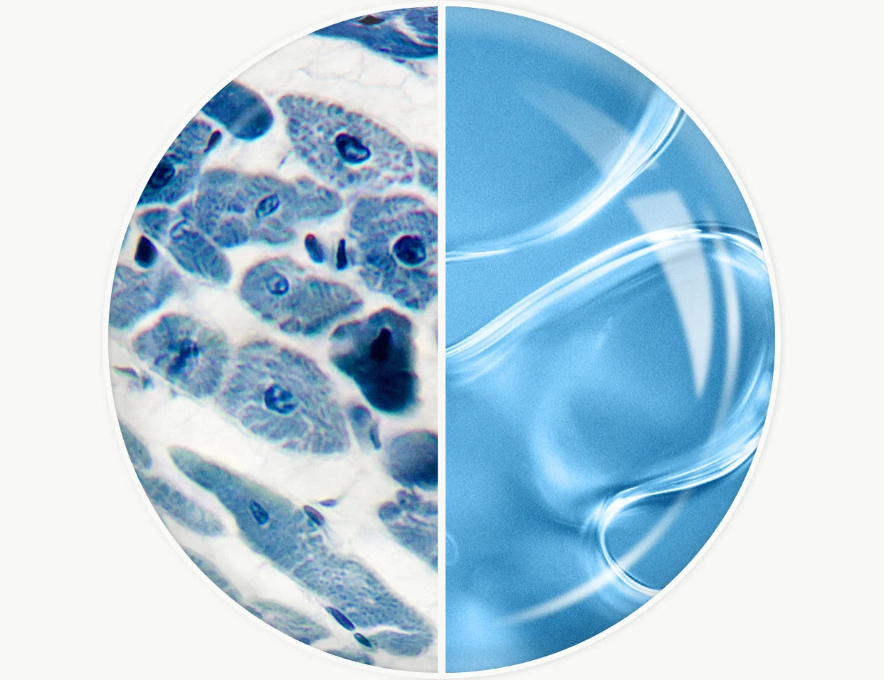 Ectoin frequently appears beside hyaluronic acid What Can Ectoin Actually Do for Skin?