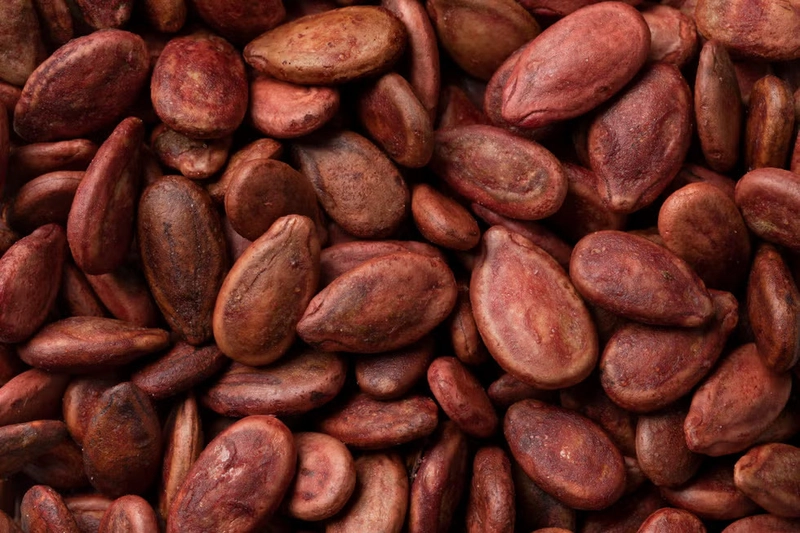 What Exactly Is Watermelon Seed Oil