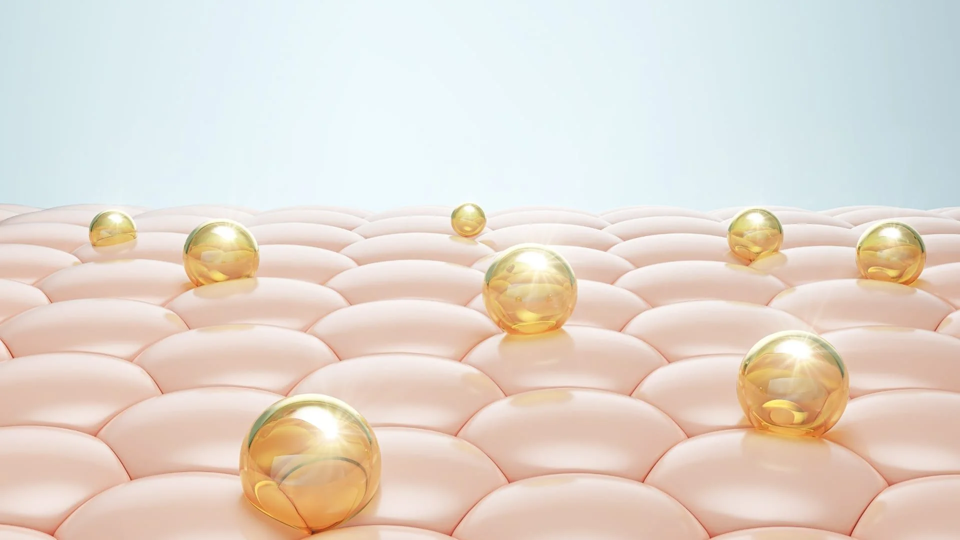 Ceramides: The Lipids That Build the Skin Barrier Ceramides: The Lipids That Build the Skin Barrier
