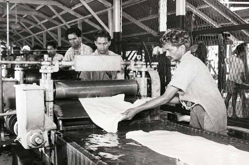 Latex rubber sheet passing through rollers and being cleaned. Taken at a rubber plantation in Malaya, 1949 Latex Fabric 5