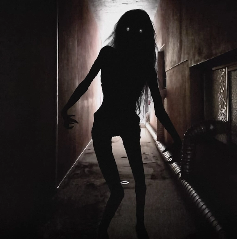 Lights Out (2016) Long Black Hair 10