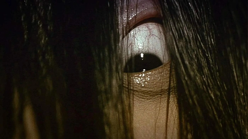 Ring (1998) Long Black Hair 12