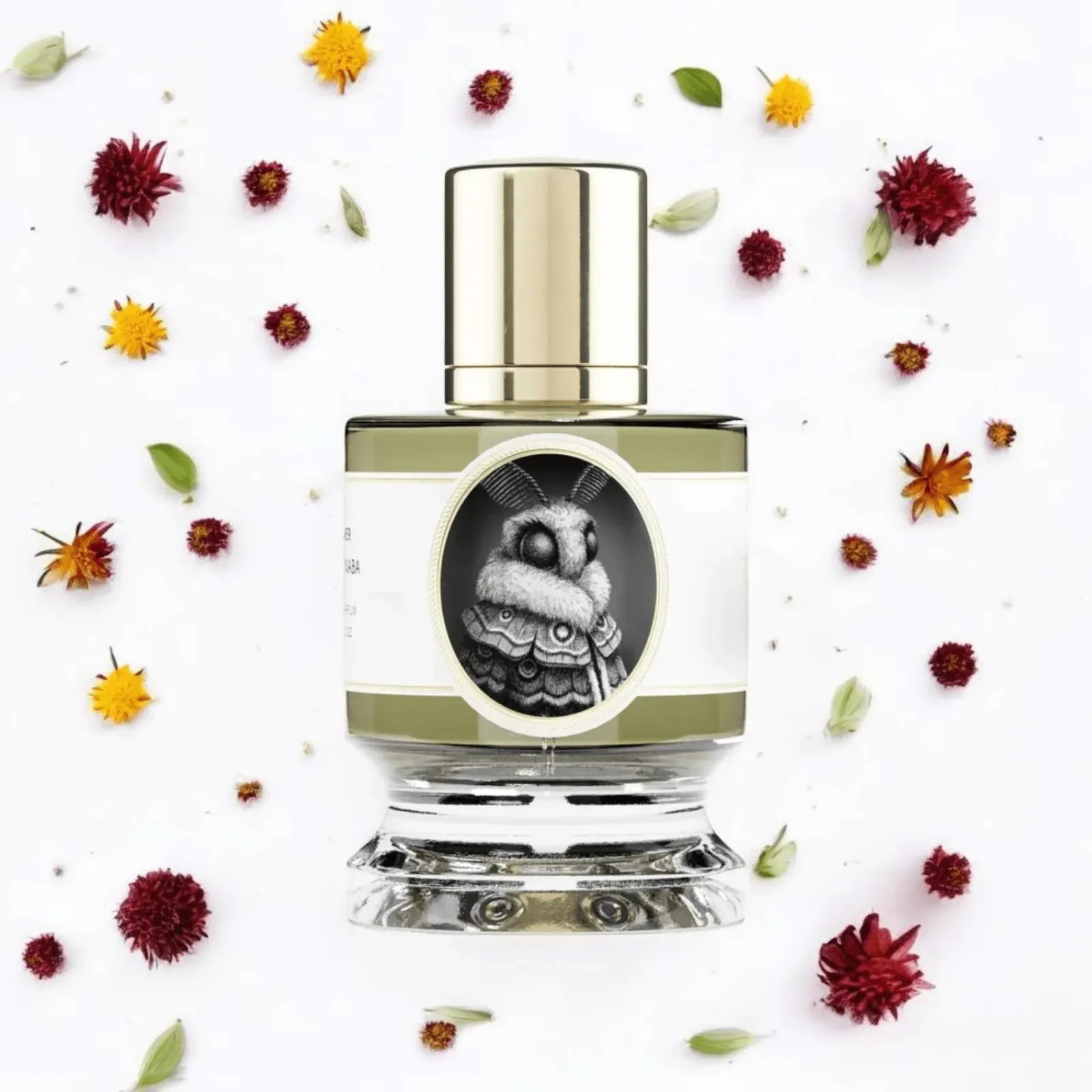 Zoologist Moth 8 Gothic Perfumes 3
