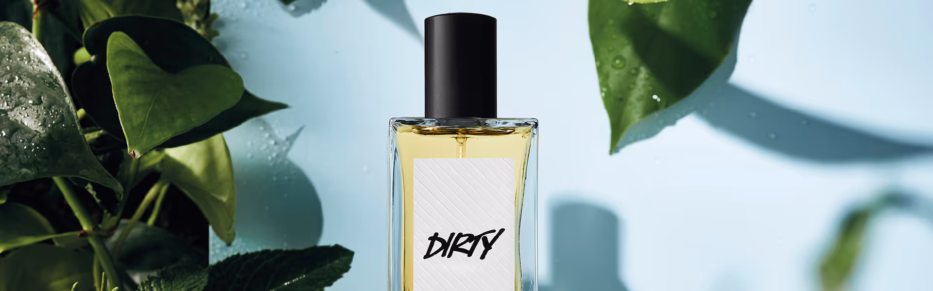 Lush