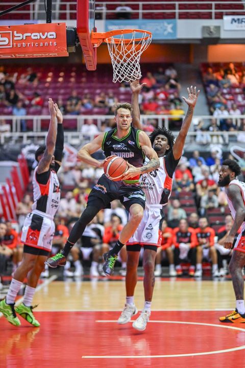 499781367 1143964471061610 1509554793560034576 N