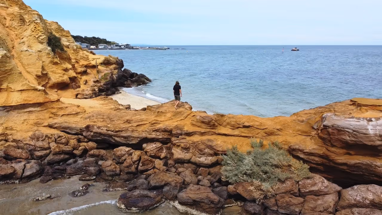 Kenyon to Take MoBro Plunge this November