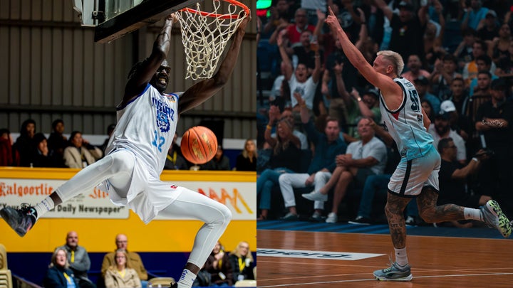 Wins Across the Board