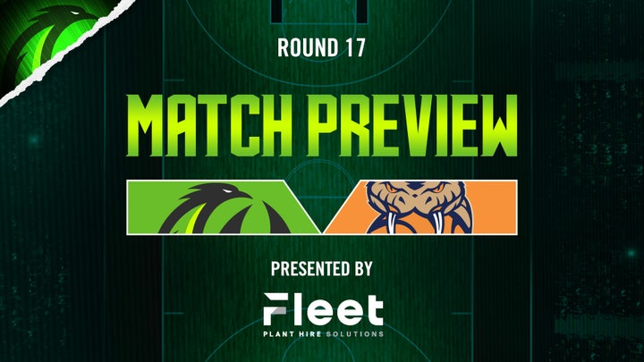 Heartland Hustle: Phoenix V Taipans in Final Home Game