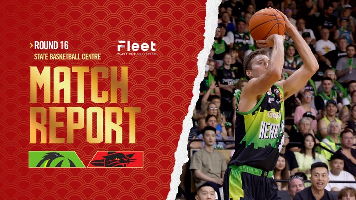 Phoenix Back in the Six