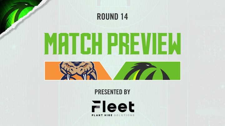 Heartland Hustle: Phoenix Look to Stop Taipans Winning Streak