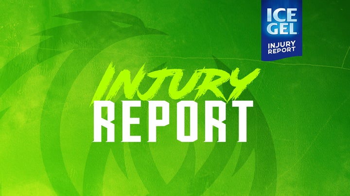 Ice Gel Injury Report: Adam Gibson