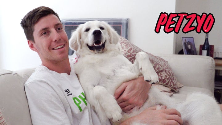 Phoenix and PETZYO Partner for the Pups