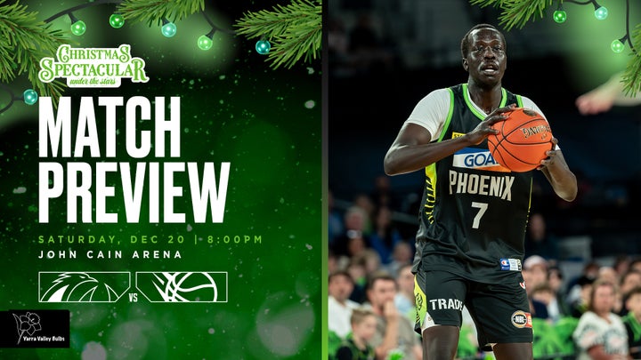 DREWITT’S BULBS MATCH PREVIEW: Phoenix celebrate Christmas in a Spectacular against Brisbane