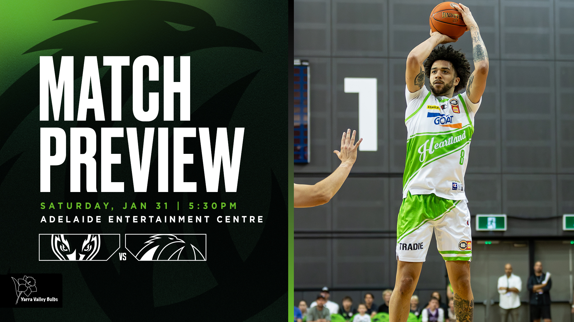 DREWITT’S BULBS MATCH PREVIEW: Top-of-the-table clash as Phoenix look to regroup in Adelaide