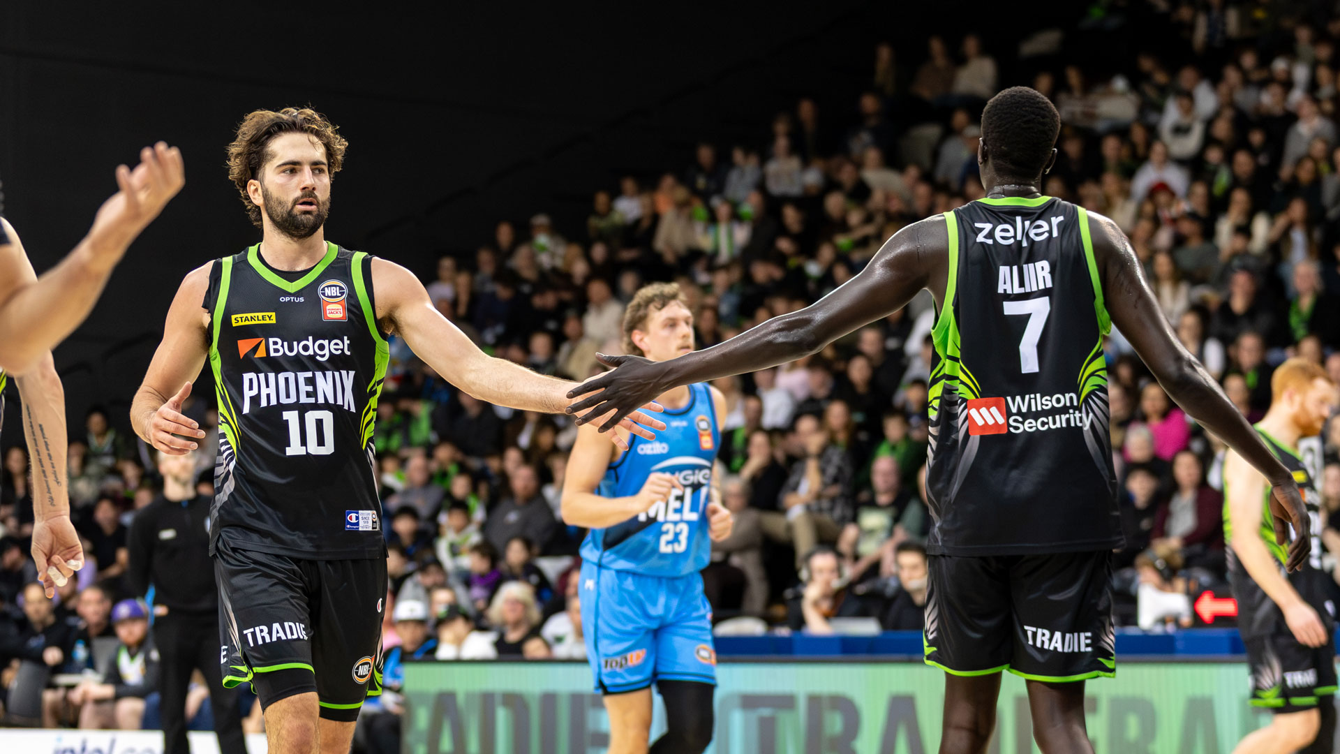 Phoenix take on Taipans in final SBC preseason game