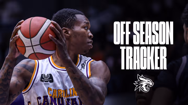 Perth Wildcats Off-Season Tracker