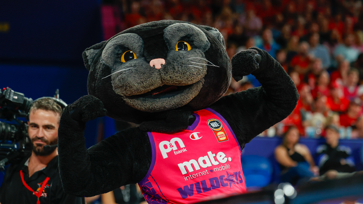 Perth Wildcats Pink Week Begins