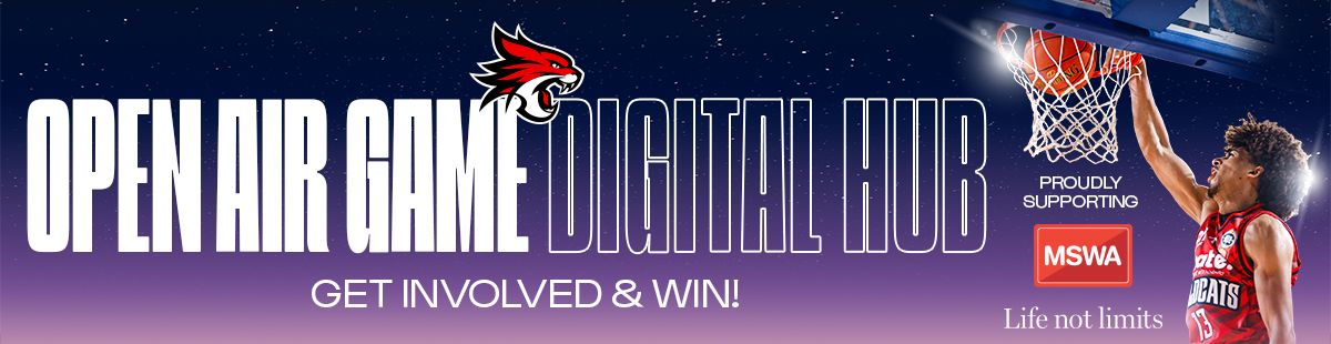 Mswa Digital Hub Banner