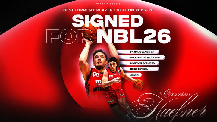 Wildcats sign young forward to kick off free-agency period