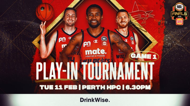 DrinkWise game preview: Seeding qualifier - Wildcats v Phoenix