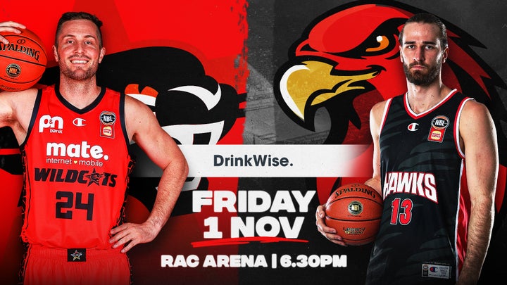 DrinkWise game preview - Round 7: Wildcats v Hawks