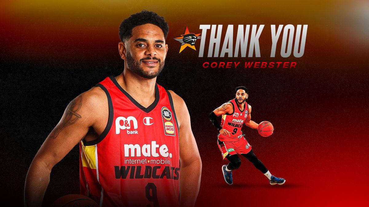 C Webster Ty Web