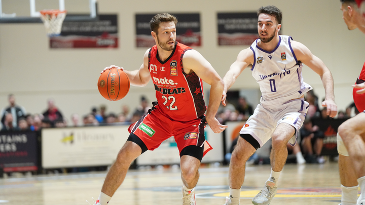 How to watch Wildcats' Sunday clash against NBL1 Select