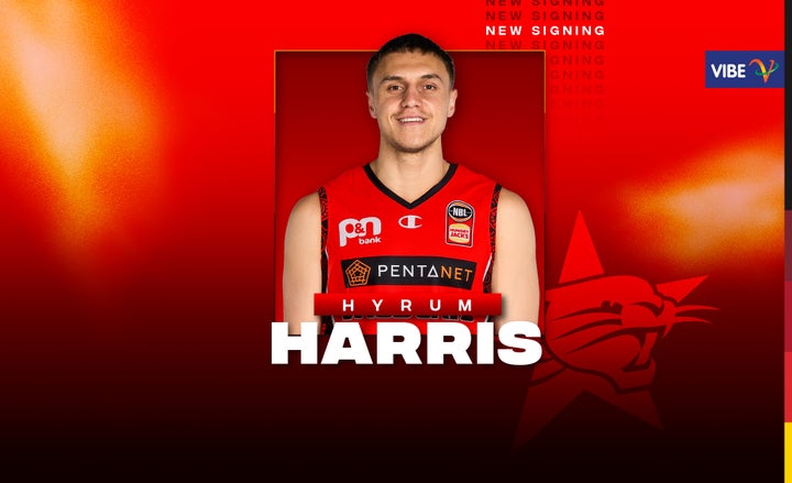 Wildcats Welcome Hyrum Harris to Perth