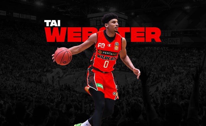 Wildcats sign sharp-shooting Tai Webster