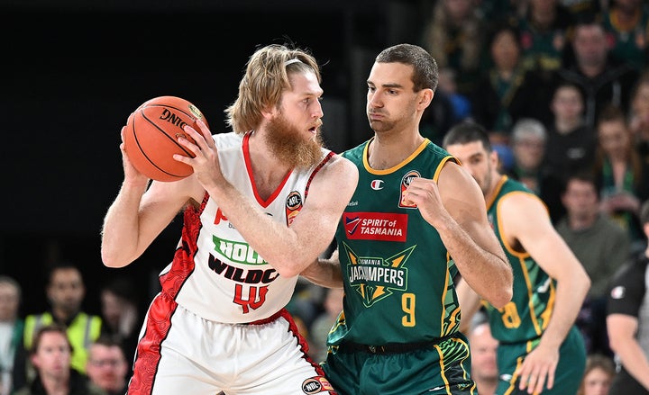 Wildcats Trounced by Tasmania