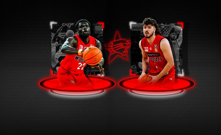 Wildcats take options on big man duo