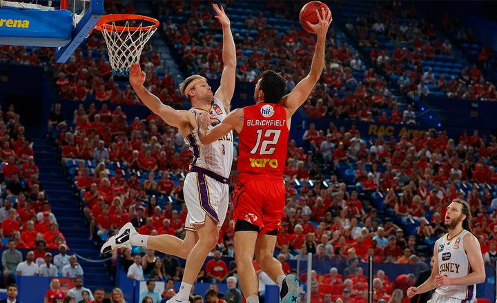 Wildcats on eight-game streak at halfway mark 