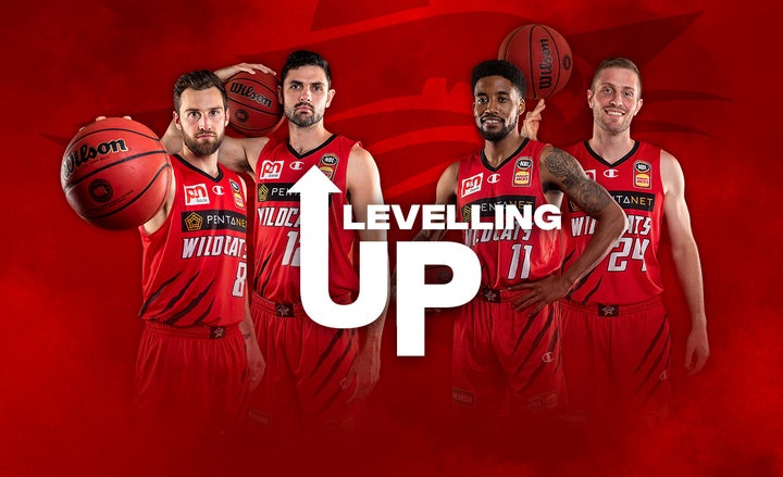 Key Wildcats levelling up in 2021