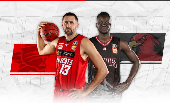 Wildcats to draw on 2016 Grand Final experience