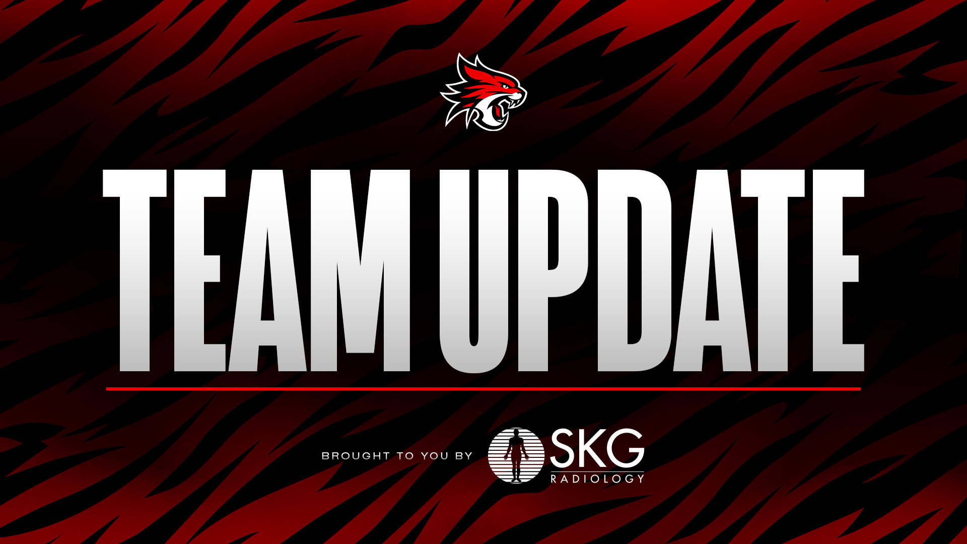 Perth Wildcats SKG Team Update