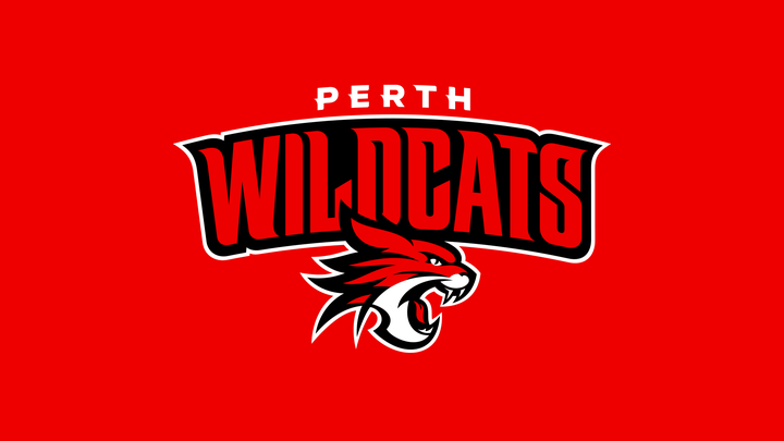 RSM joins Perth Wildcats as Gold Partner