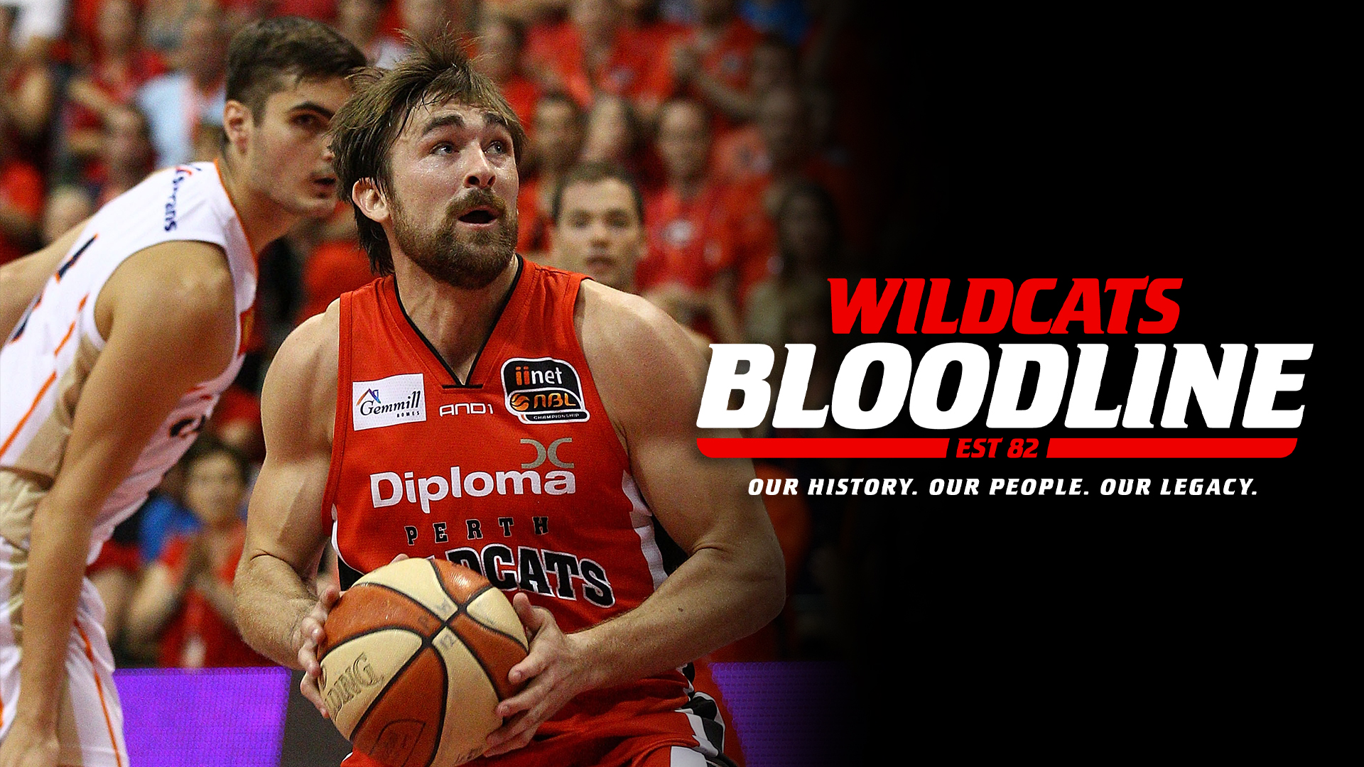 Wildcats Bloodline | Brad Robbins