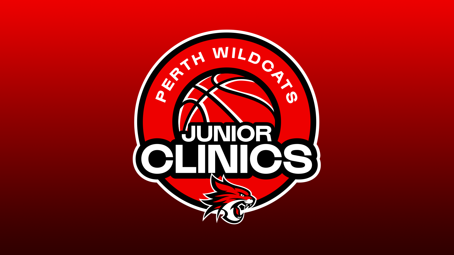 Junior Clinics