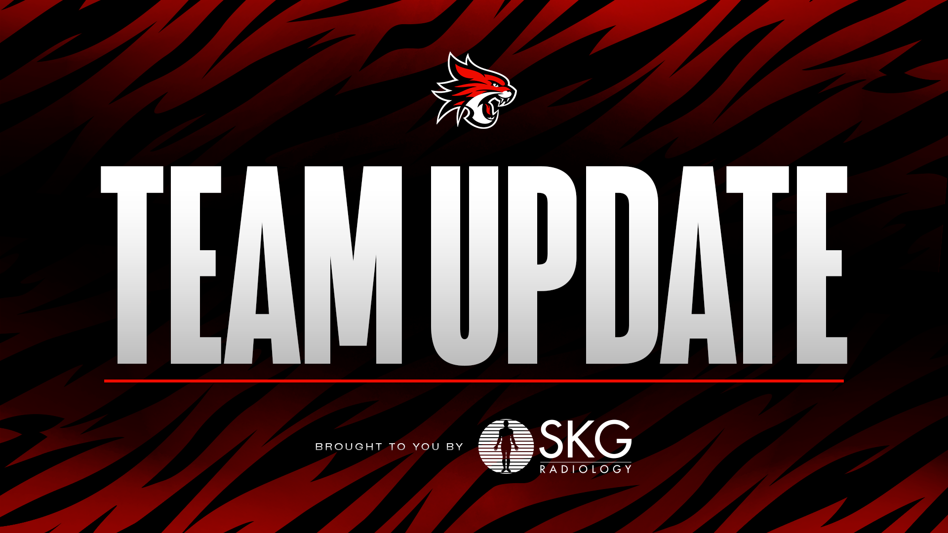 Perth Wildcats Team Update