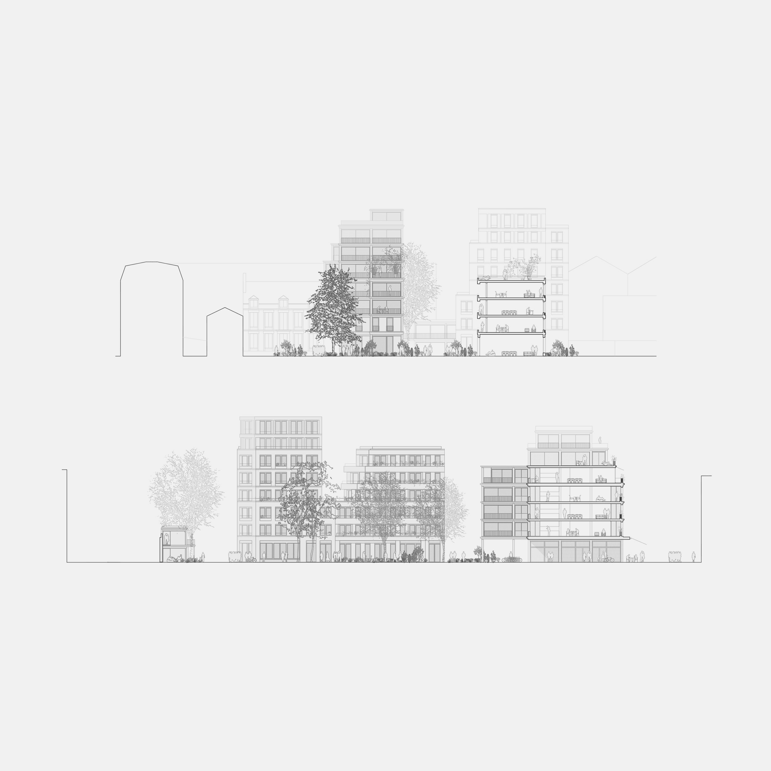 ARG_FAC_01