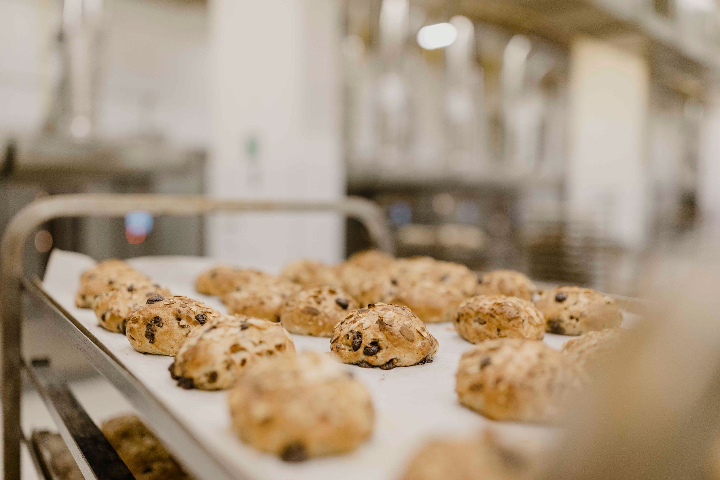 Hausgemachte Brotspezialitäten der Franziskaner Bäckerei