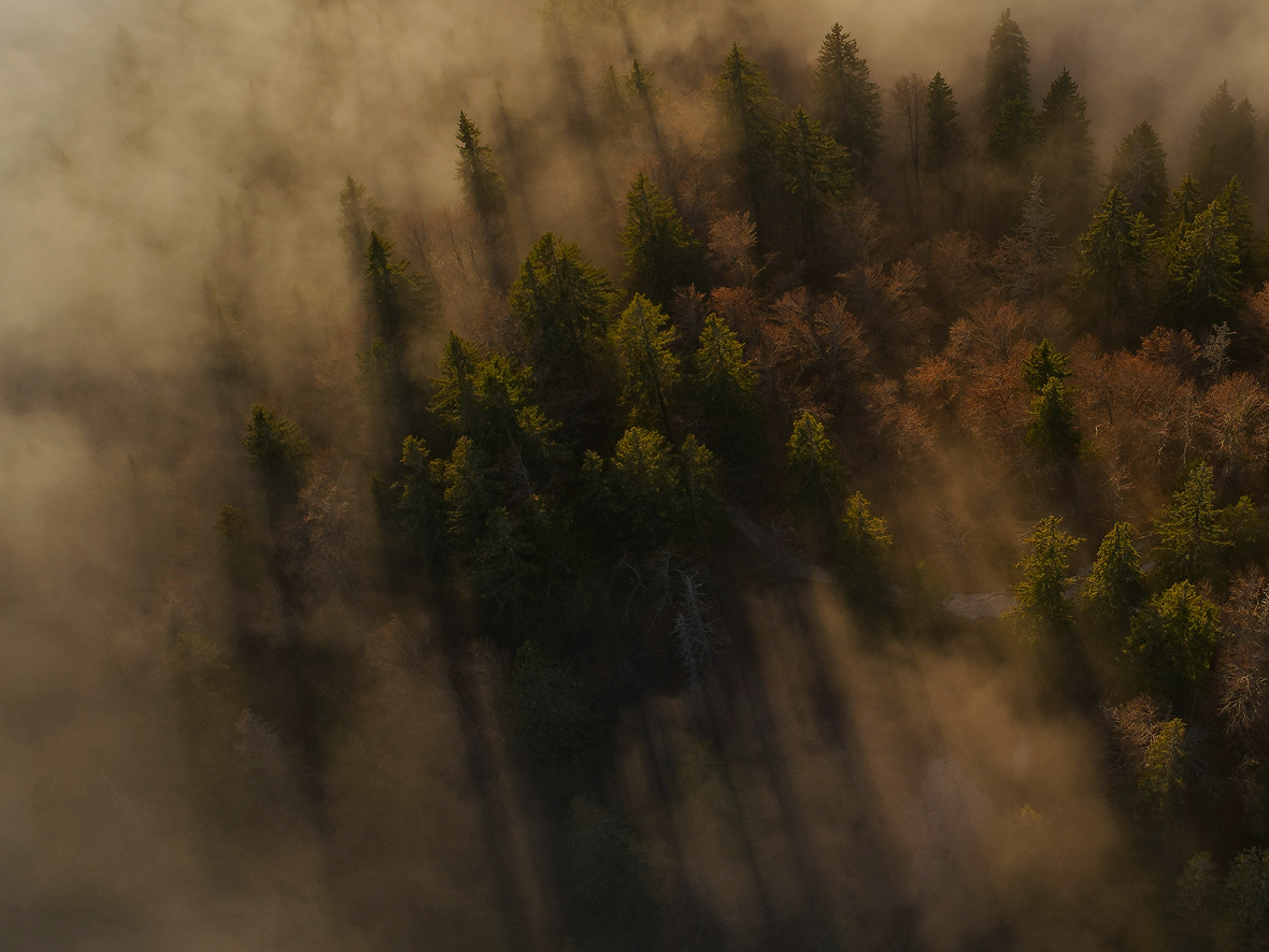 NFA AI automation innovation showcase