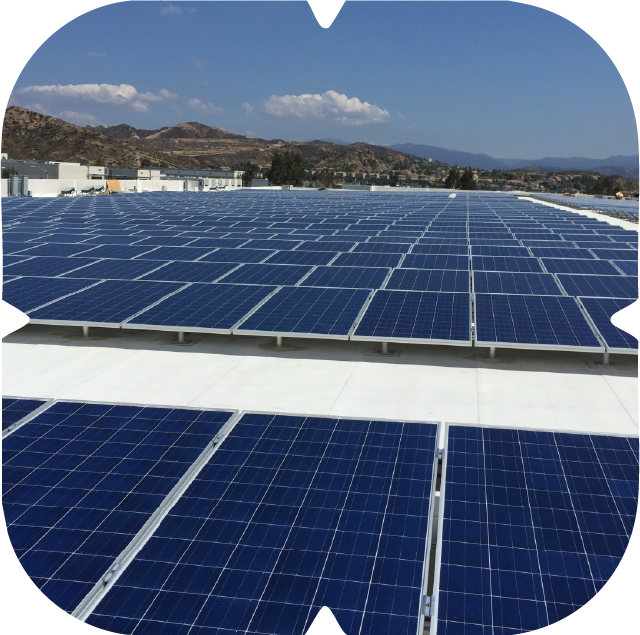 Solar Solution Customer Picture