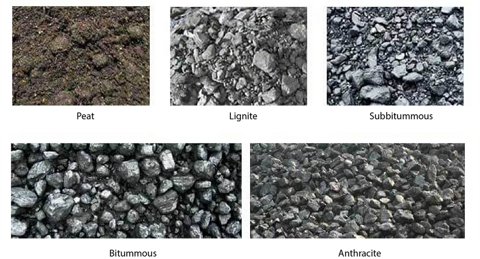 Five coal types, peat, lignite, subbitummous, bitummous, anthracite