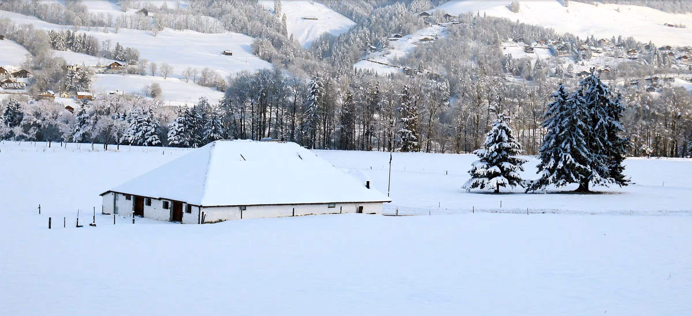 winter photo