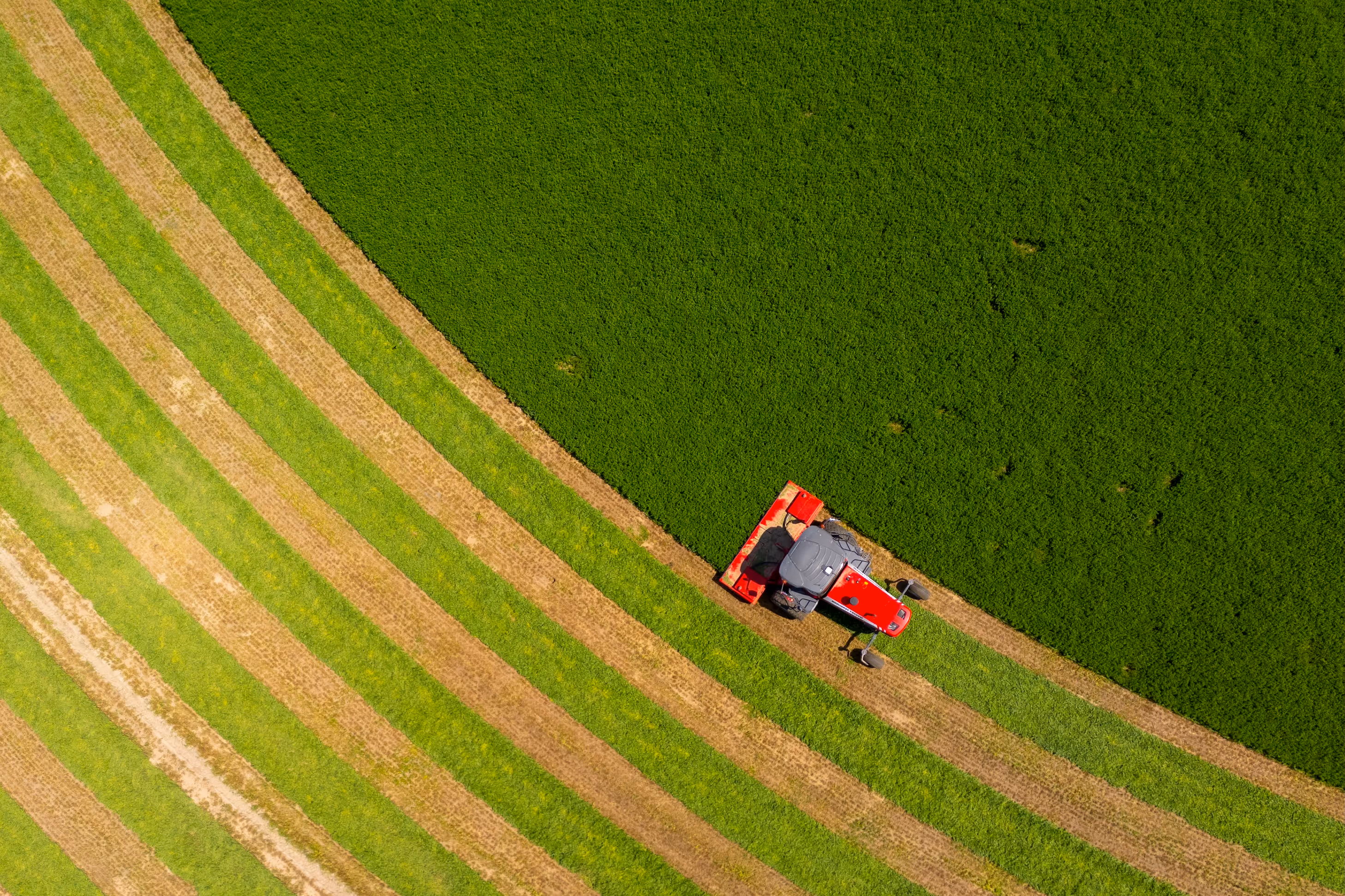 Tractor in field