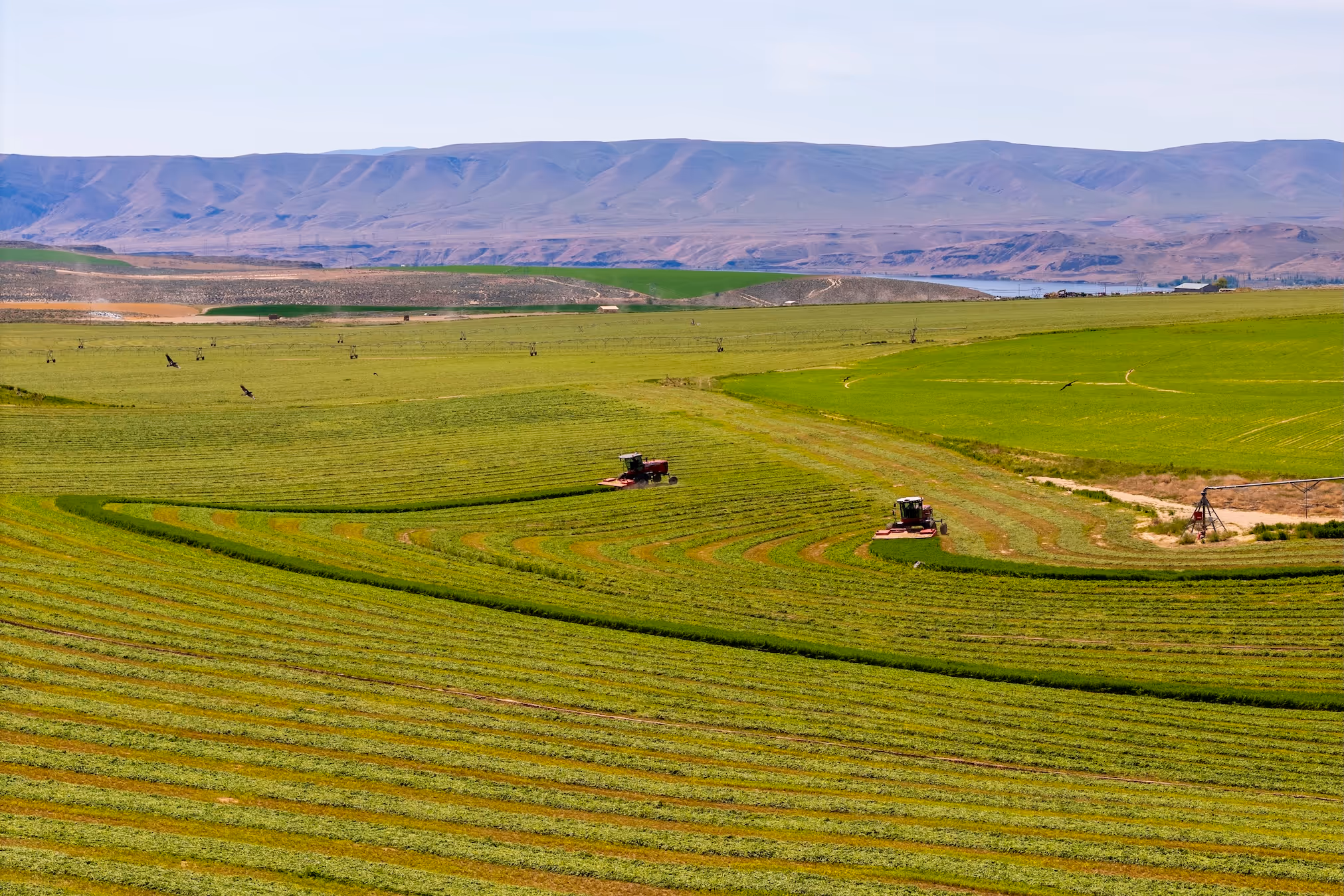 Field