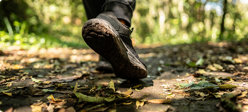 Low section of a man hiking on forest